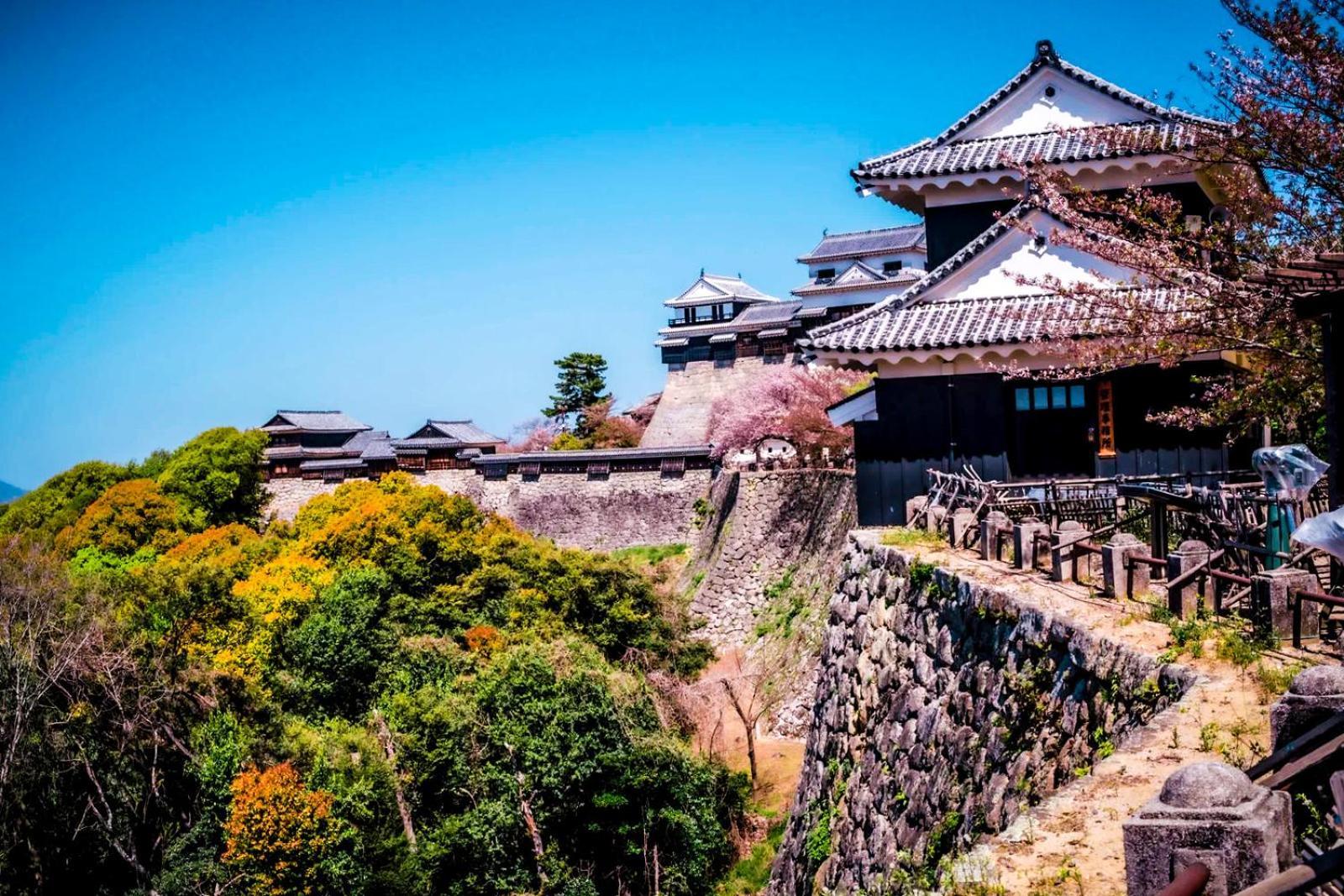 媛楽園 松山中心地及び道後温泉に近い家族やグループ旅行の多人数が泊まれる快適な宿 Dış mekan fotoğraf